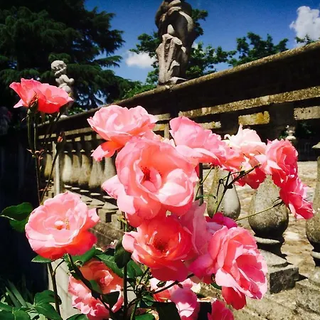 Charme Of Capannina 3* 노비리구레